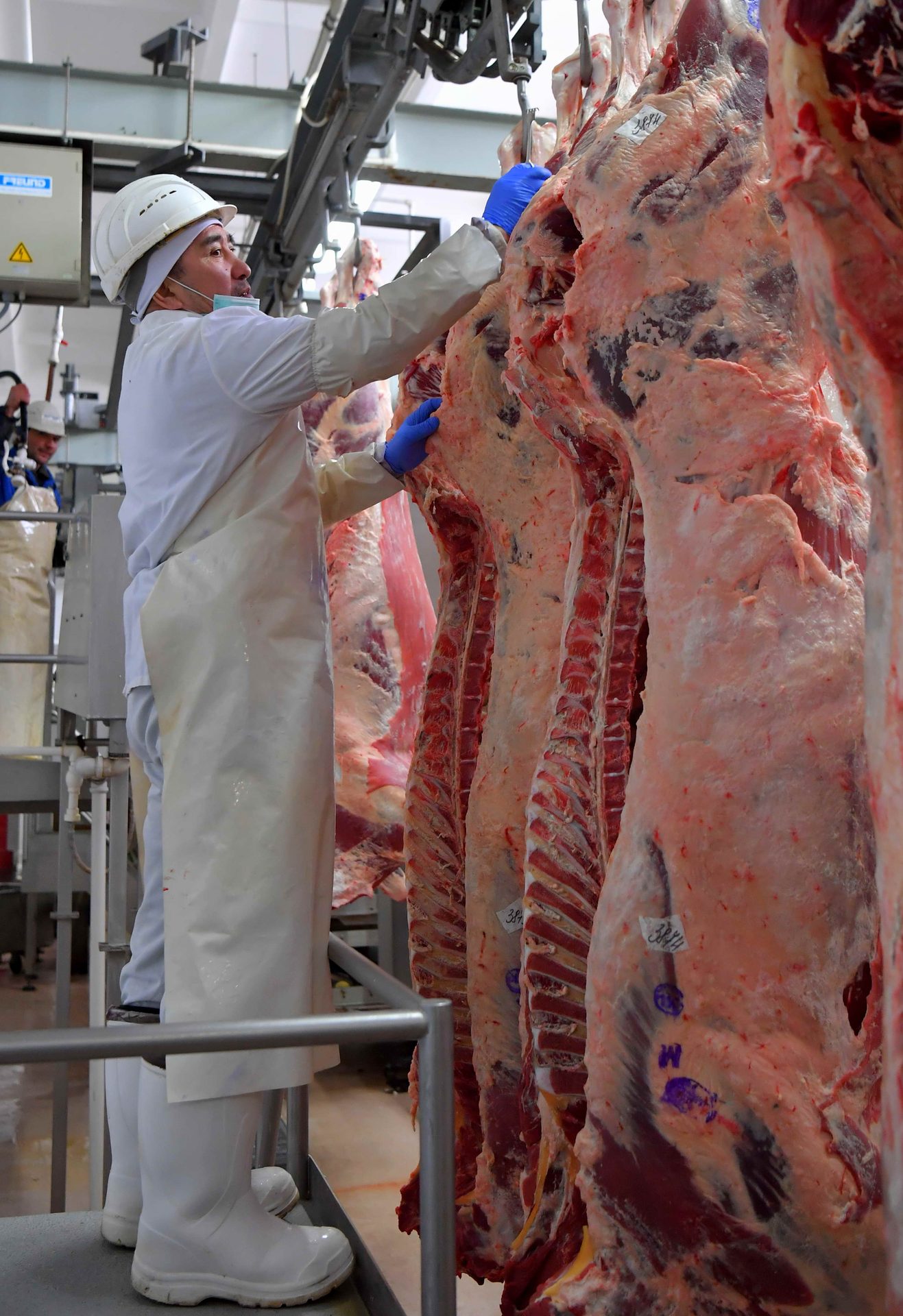 哈萨克斯坦 Бижан 肉类加工联合体 — 吊顶安装